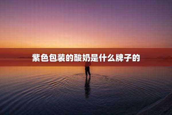 紫色包装的酸奶是什么牌子的