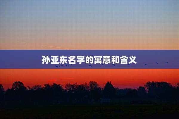孙亚东名字的寓意和含义