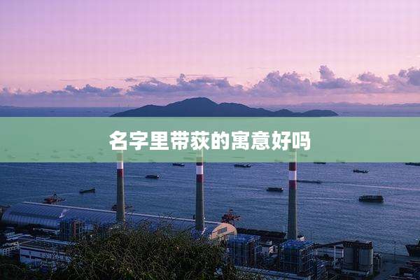 名字里带荻的寓意好吗