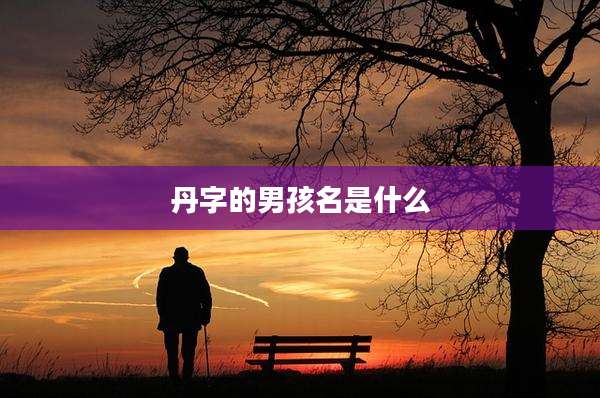 丹字的男孩名是什么
