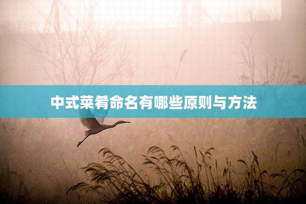 中式菜肴命名有哪些原则与方法