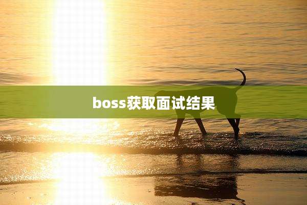 boss获取面试结果
