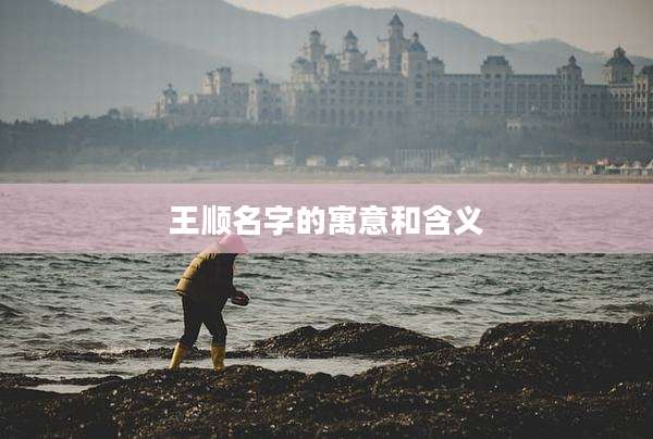 王顺名字的寓意和含义