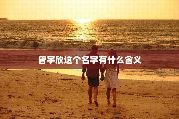 曾宇欣这个名字有什么含义