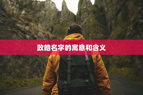 政皓名字的寓意和含义