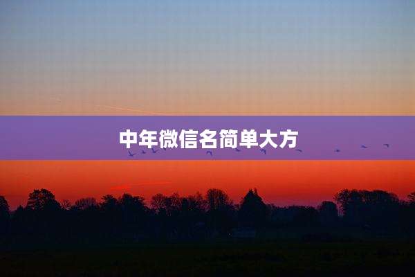 中年微信名简单大方