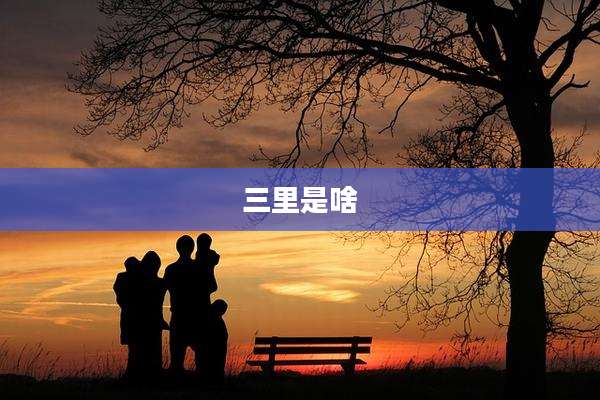 三里是啥