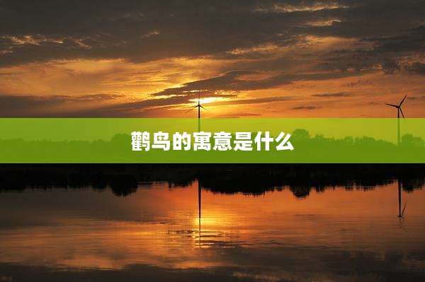 鹳鸟的寓意是什么