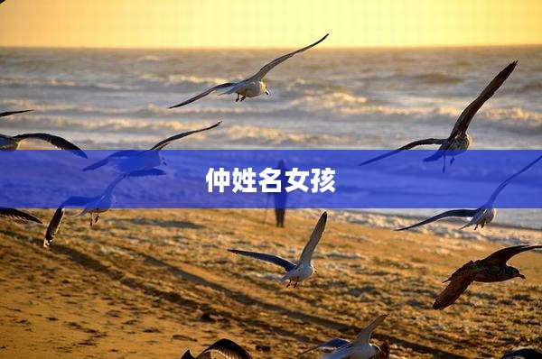 仲姓名女孩