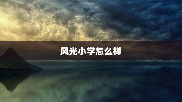 风光小学怎么样