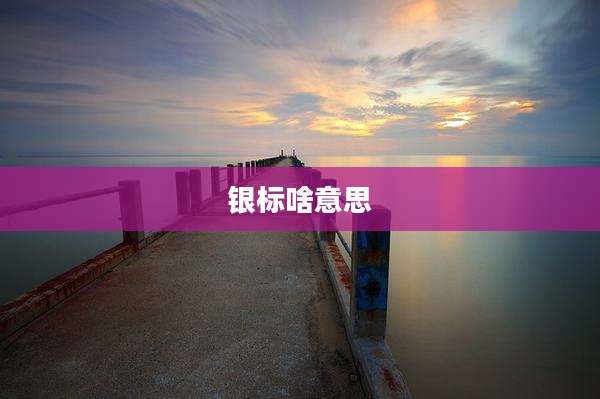 银标啥意思