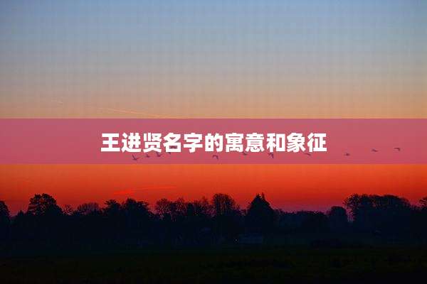 王进贤名字的寓意和象征