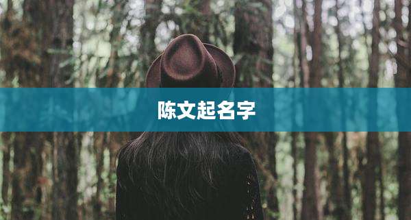 陈文起名字