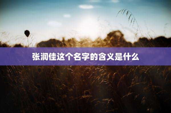 张润佳这个名字的含义是什么