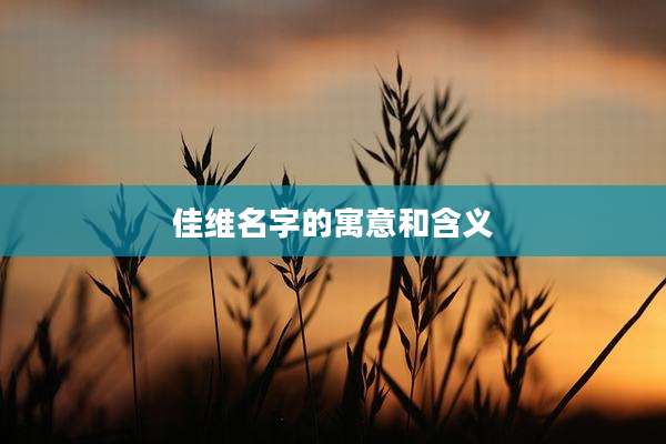 佳维名字的寓意和含义