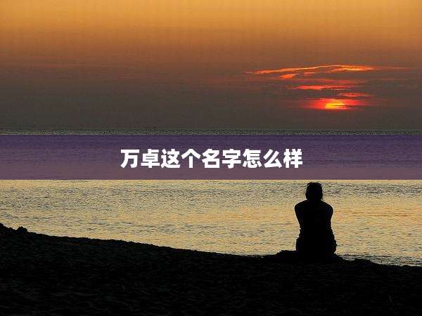 万卓这个名字怎么样