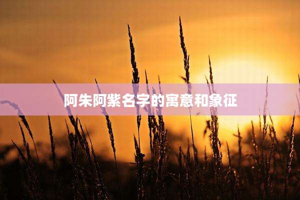 阿朱阿紫名字的寓意和象征