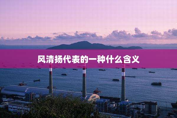 风清扬代表的一种什么含义