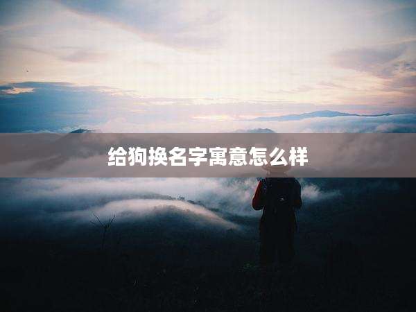 给狗换名字寓意怎么样