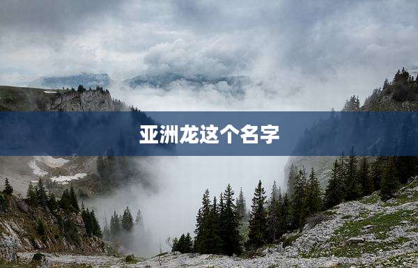 亚洲龙这个名字