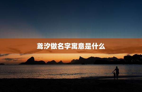 鸢汐做名字寓意是什么