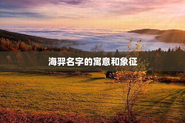 海羿名字的寓意和象征