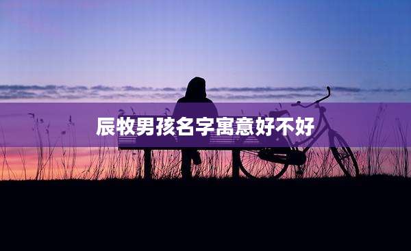 辰牧男孩名字寓意好不好