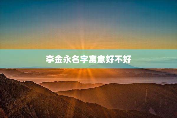 李金永名字寓意好不好
