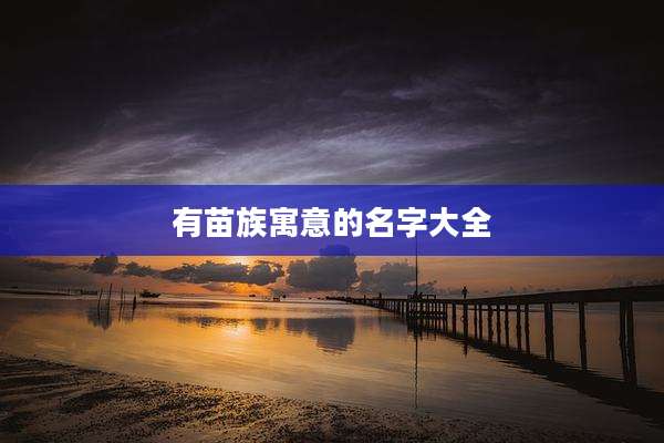 有苗族寓意的名字大全