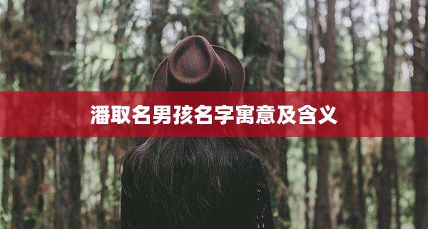 潘取名男孩名字寓意及含义