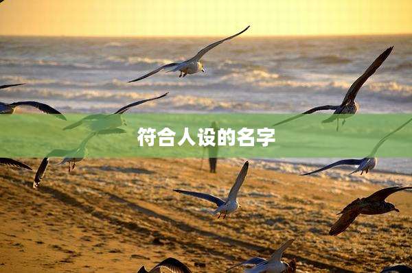 符合人设的名字