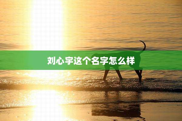 刘心宇这个名字怎么样