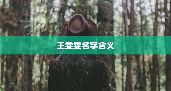 王雯雯名字含义