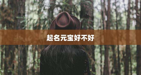起名元宝好不好
