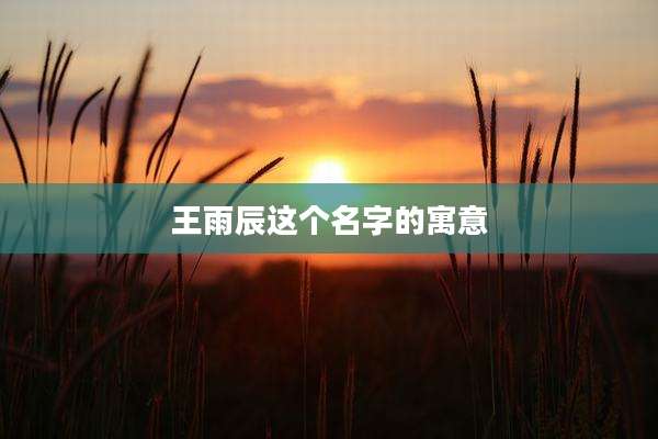 王雨辰这个名字的寓意