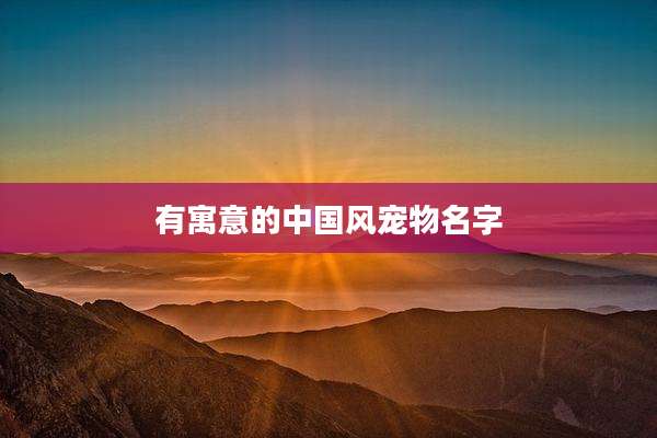 有寓意的中国风宠物名字