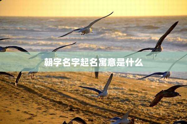 朝字名字起名寓意是什么