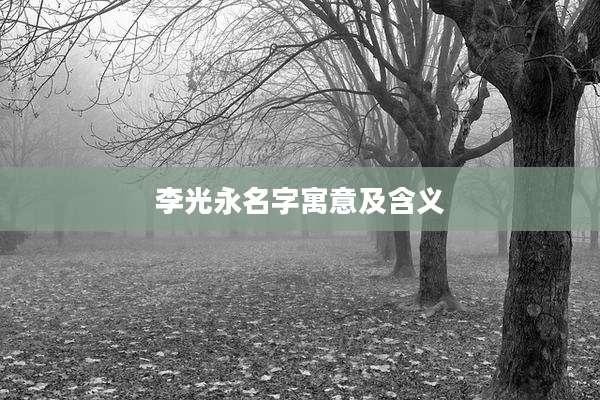 李光永名字寓意及含义