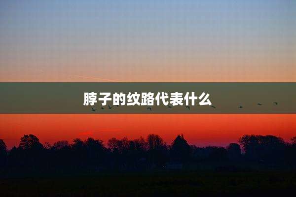 脖子的纹路代表什么