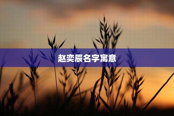 赵奕辰名字寓意