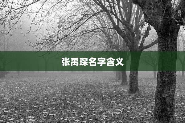 张禹琛名字含义