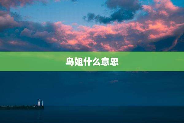 鸟姐什么意思