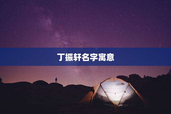 丁振轩名字寓意