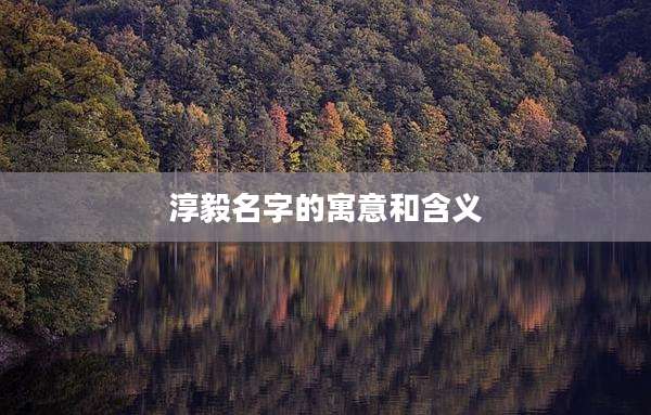 淳毅名字的寓意和含义