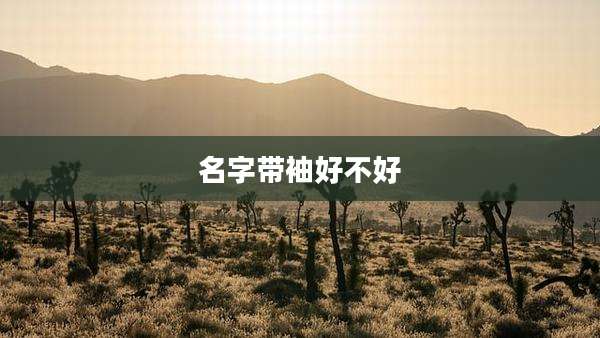 名字带袖好不好