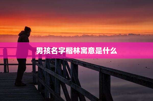 男孩名字楷林寓意是什么