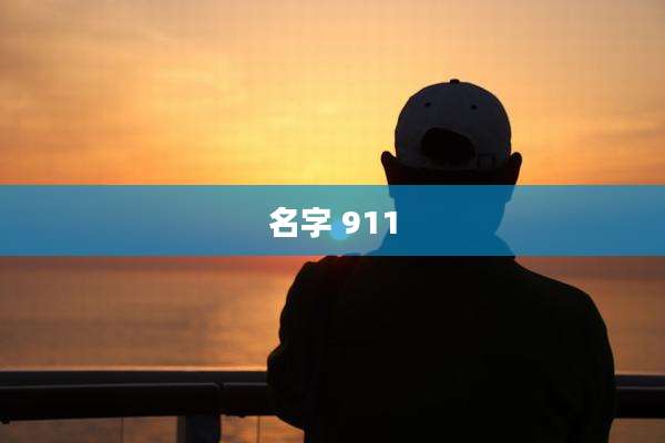 名字 911