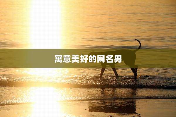 寓意美好的网名男