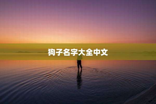 狗子名字大全中文