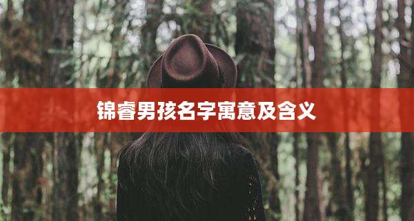 锦睿男孩名字寓意及含义